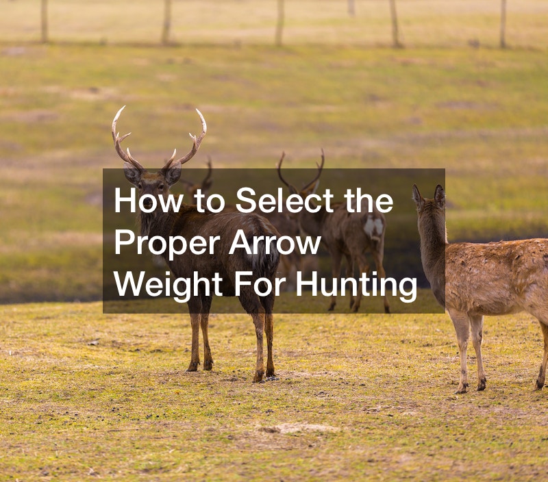 How to Select the Proper Arrow Weight For Hunting Global World of